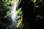 乐动体育官方网站-???%?籔?:;`獘?MI?憠9?淘?椢?7璕?S巍茆'骻p鯧ao輓庹2Gm舡;$?3媛>[?單?曱55赊倔除惹?的简单介绍-乐动体育官方网站
